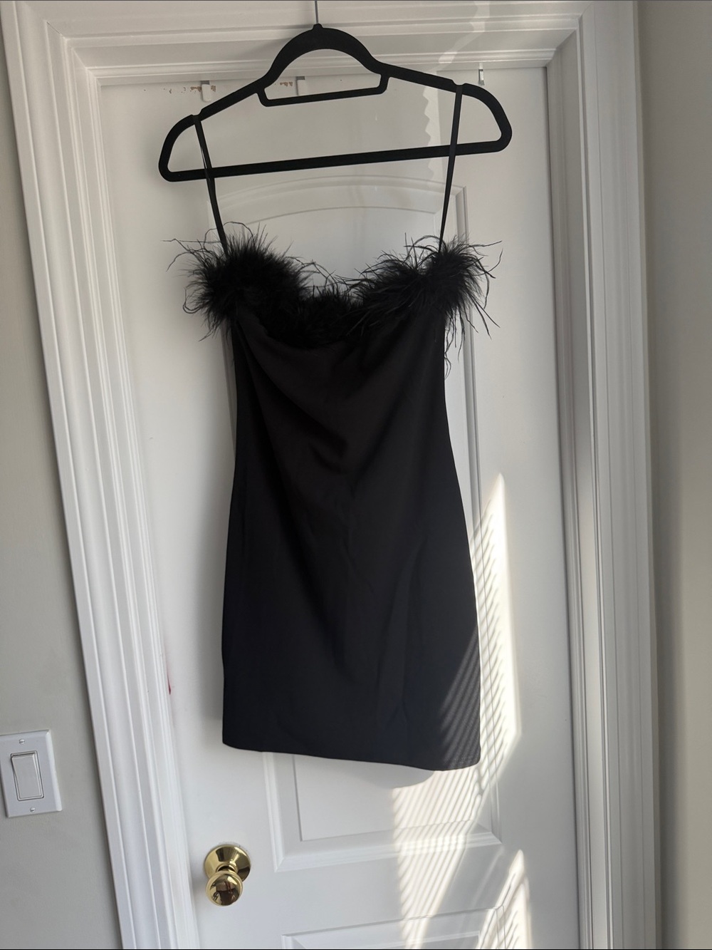 Windsor Black Mini Dress with Feather Trim